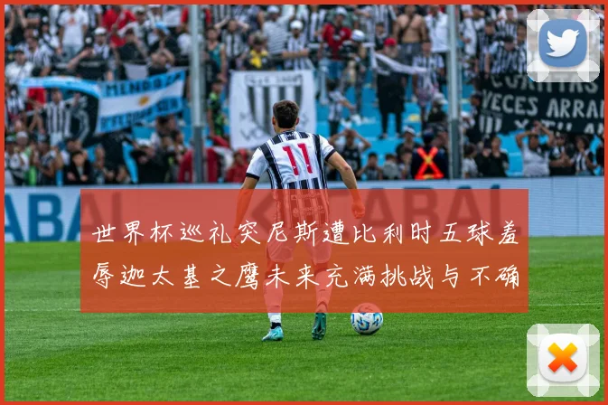 世界杯巡礼突尼斯遭比利时五球羞辱迦太基之鹰未来充满挑战与不确定性