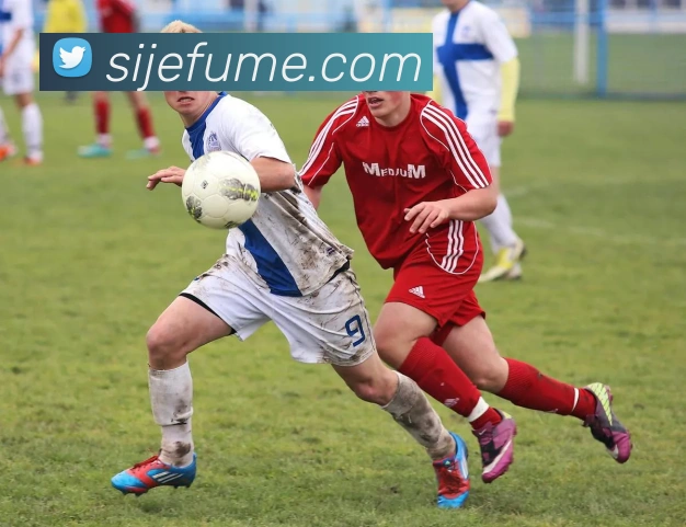 用户互动社区